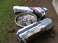 06_Stockbrot II.JPG