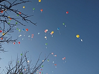 20111015_VT-Garten_Eroeffnung_088.JPG