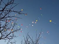20111015_VT-Garten_Eroeffnung_089.JPG