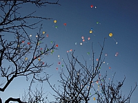 20111015_VT-Garten_Eroeffnung_090.JPG