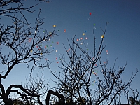 20111015_VT-Garten_Eroeffnung_092.JPG