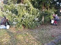 IMG_3054.JPG