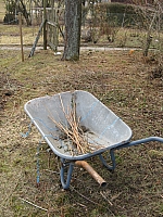 IMG_3401.JPG