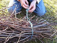 IMG_3411.JPG