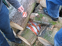 IMG_3418.JPG