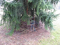 IMG_3446.JPG