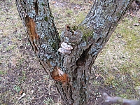 IMG_3456.JPG