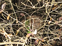 IMG_3457.JPG