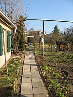 IMG_3486.JPG