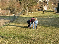 IMG_3511.JPG