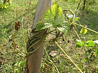IMG_6254.JPG