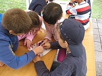 IMG_6305.JPG