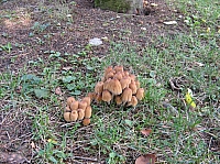 IMG_6404.JPG