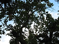 IMG_6406.JPG
