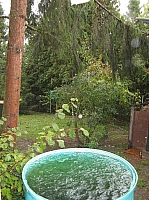 IMG_6426.JPG