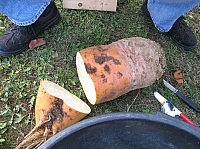 IMG_6464.JPG