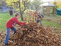 IMG_6550.JPG