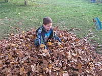 IMG_6558.JPG
