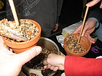IMG_6858.JPG