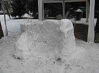 IMG_7001.JPG