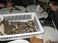IMG_7097.JPG