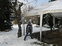 IMG_7261.JPG