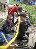 IMG_7415.JPG