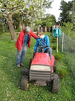 02_04 mähen.JPG
