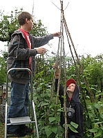 02_07 Bohnentipi.JPG