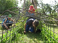 02_08 Bohnentipi-Pflege.JPG
