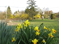 04_01 Osterglocken.JPG