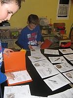 05_02 Vogelbestimmungsbuch.JPG